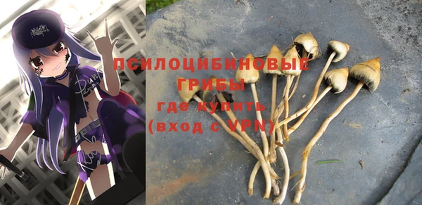ALPHA PVP Дмитриев