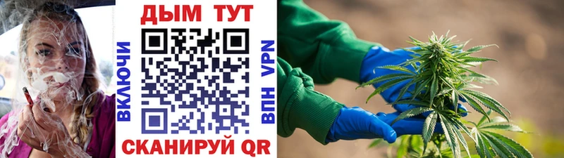 Купить закладки  Дюртюли  Марихуана планчик 